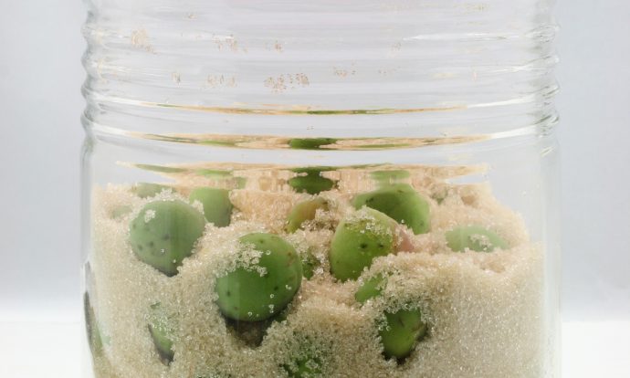 梅シロップ手順画像