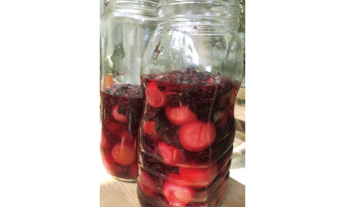 ボトルで梅干し手順画像