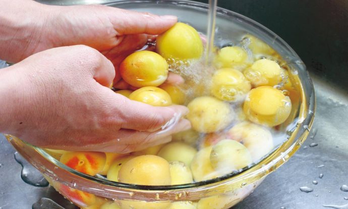 手作り梅干し手順画像