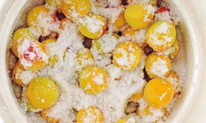 手作り梅干し手順画像