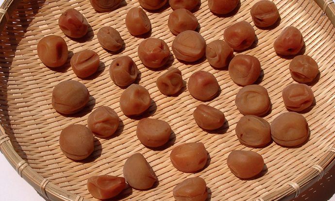 手作り梅干し手順画像