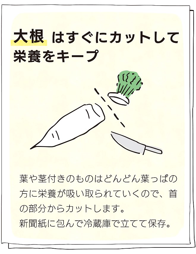 保存＆活用のおやさい手帳